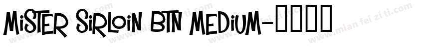 Mister Sirloin BTN Medium字体转换